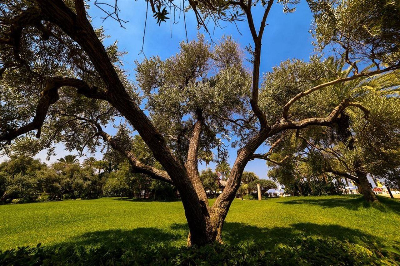 Portemilio Hotel & Resort Jounieh Extérieur photo